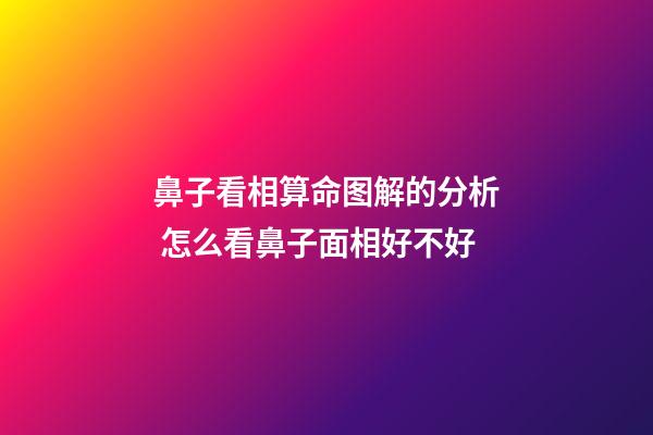 鼻子看相算命图解的分析 怎么看鼻子面相好不好